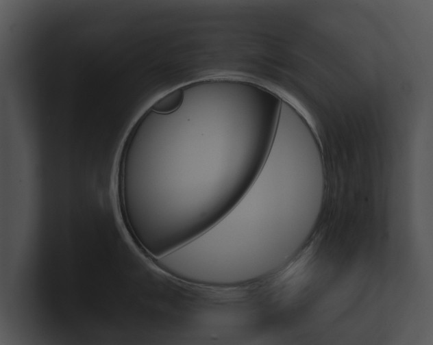 X0000100891007200806241005