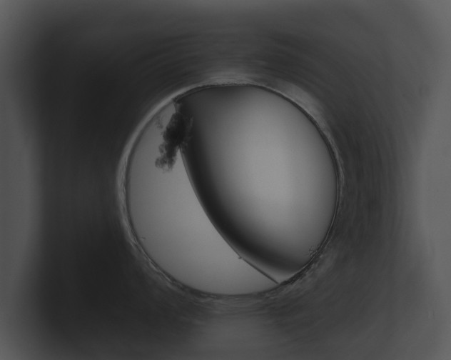 X0000100891008200806241005