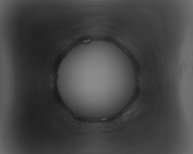 X0000100891010200806241004