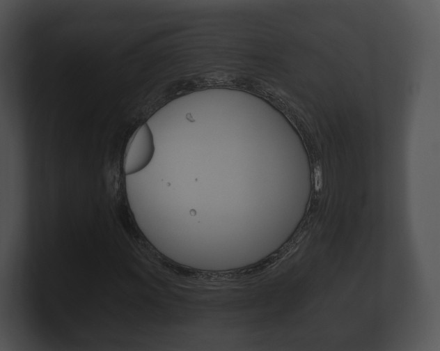 X0000100891011200806241004