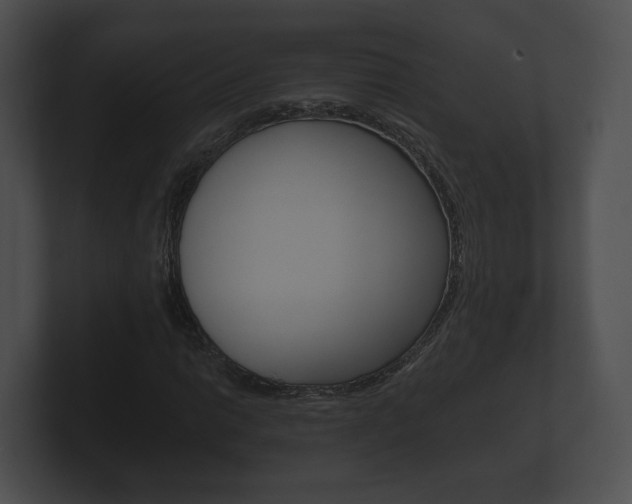 X0000100891014200806241004