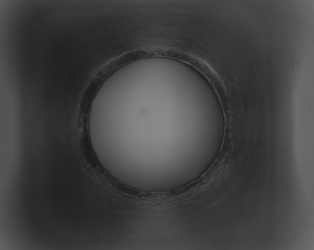 X0000100891016200806241004