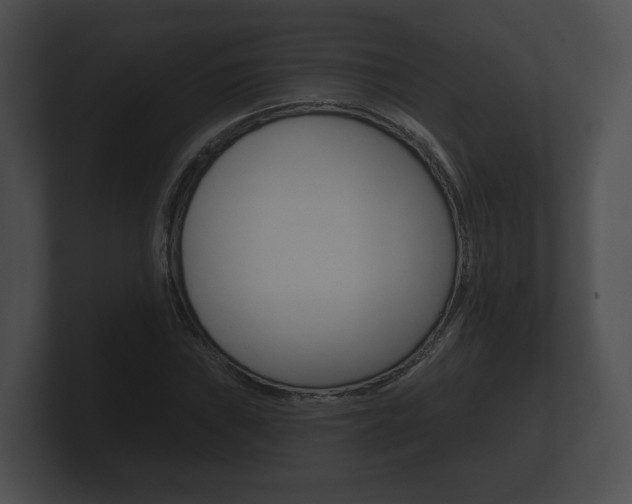 X0000100891019200806241004