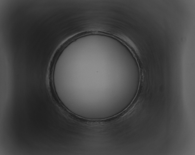 X0000100891020200806241004