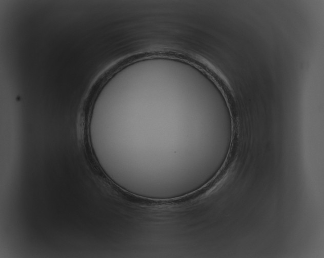 X0000100891021200806241004