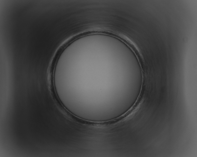 X0000100891029200806241004
