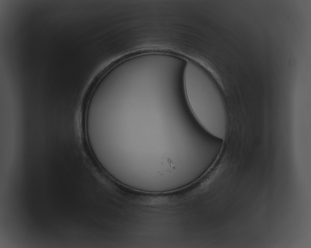 X0000100891030200806241004
