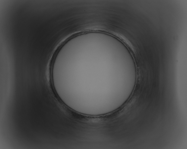 X0000100891031200806241004