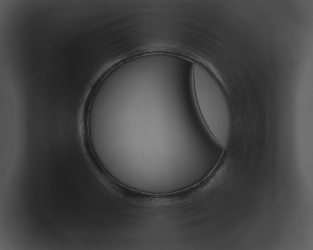 X0000100891034200806241004