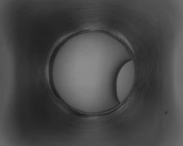 X0000100891035200806241004