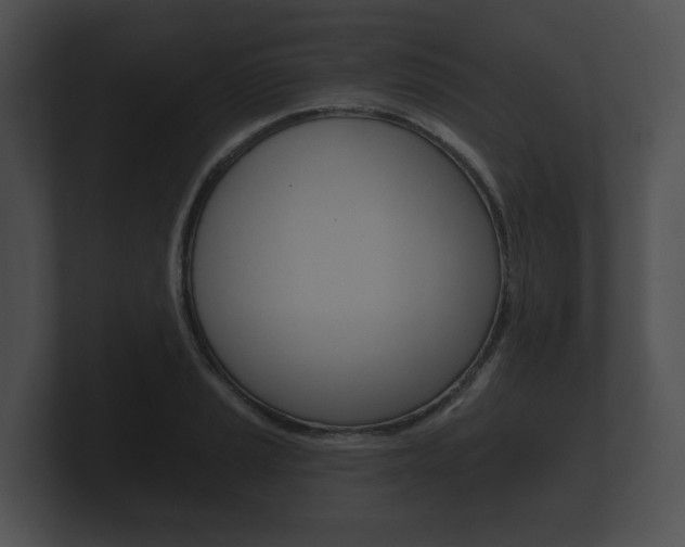 X0000100891037200806241004