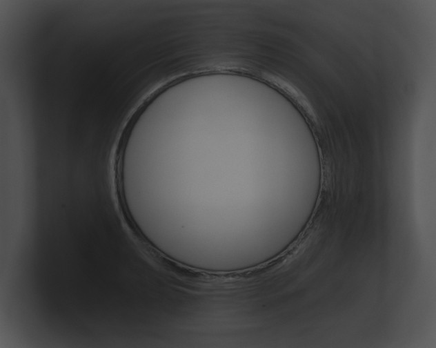 X0000100891039200806241004