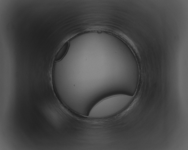 X0000100891041200806241005