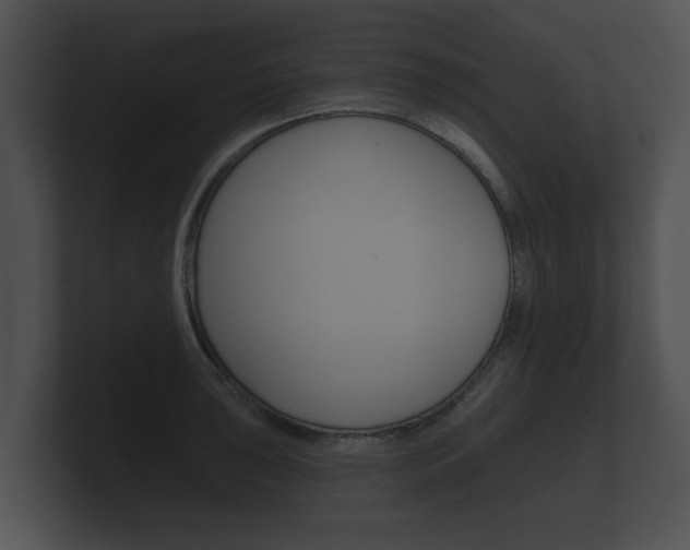 X0000100891043200806241005