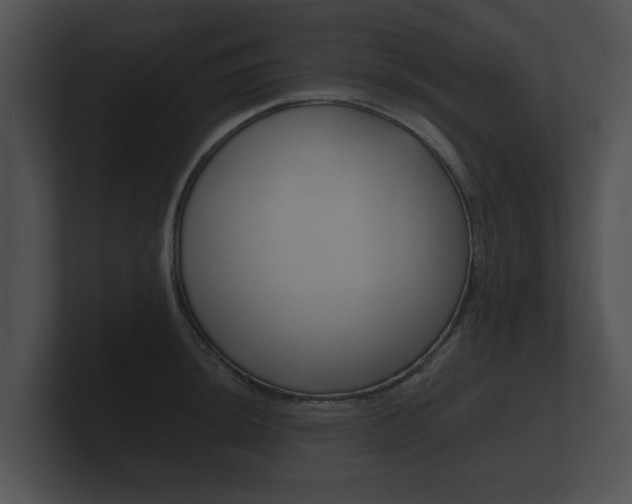 X0000100891044200806241005