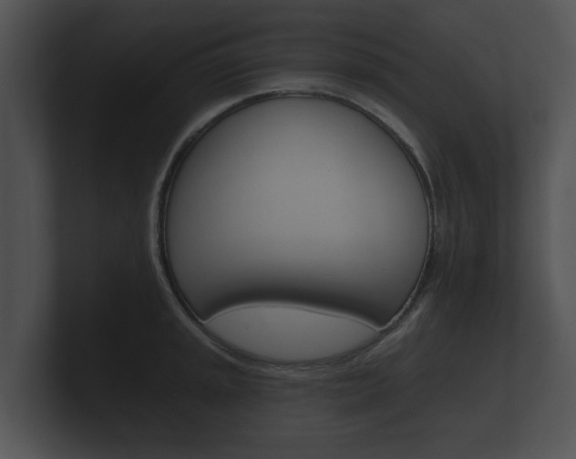 X0000100891045200806241005