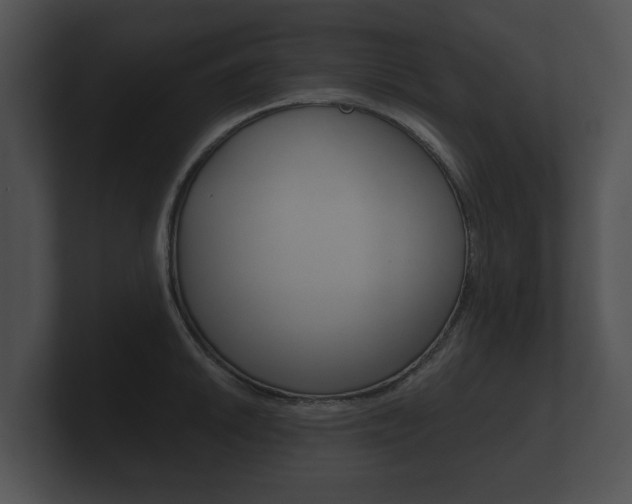 X0000100891046200806241005