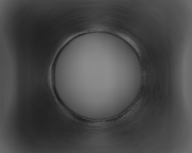 X0000100891047200806241005