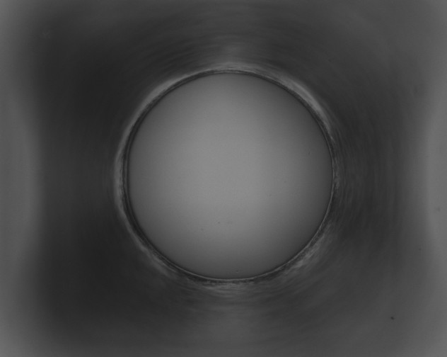 X0000100891048200806241005