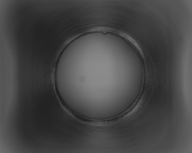 X0000100891049200806241005