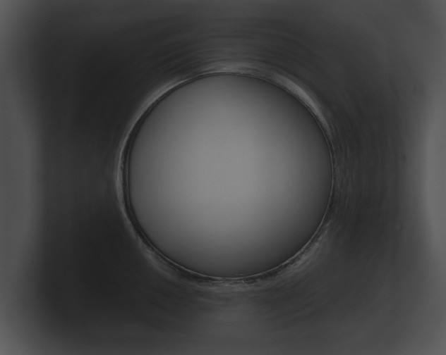 X0000100891050200806241005