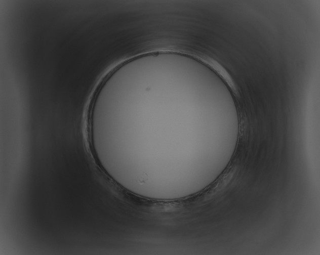 X0000100891051200806241005