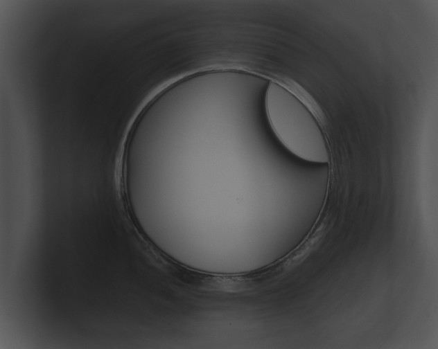 X0000100891052200806241005