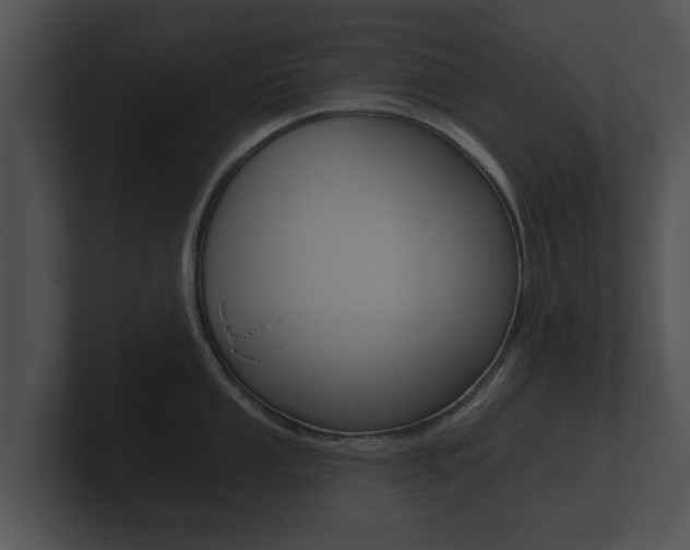 X0000100891053200806241005