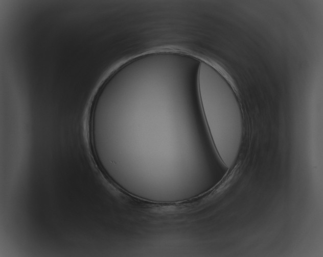 X0000100891054200806241005
