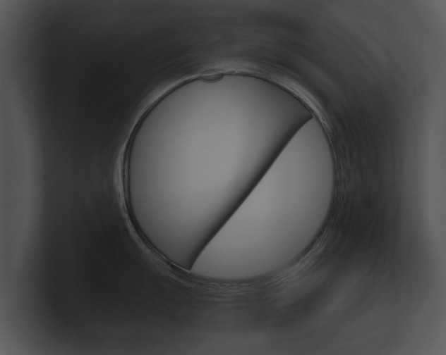 X0000100891055200806241005