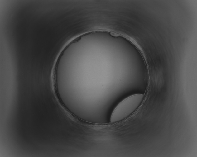 X0000100891056200806241005