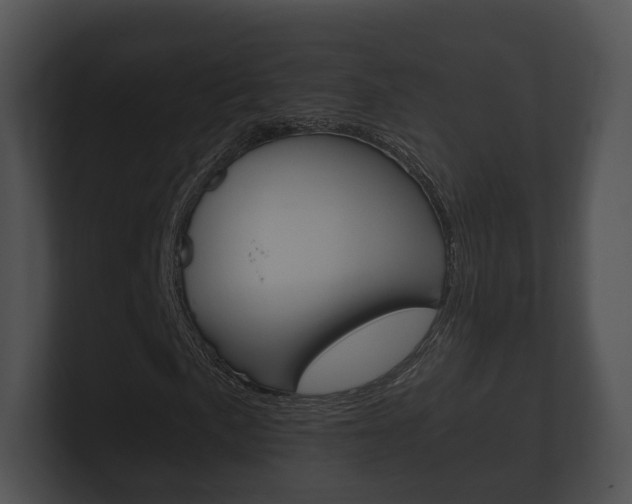 X0000100891057200806241004