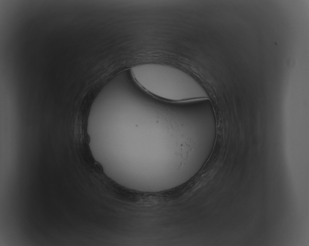 X0000100891058200806241004