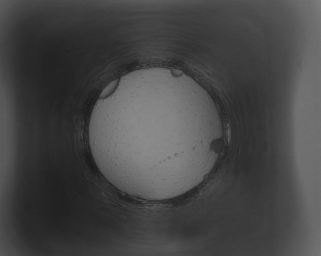 X0000100891059200806241004