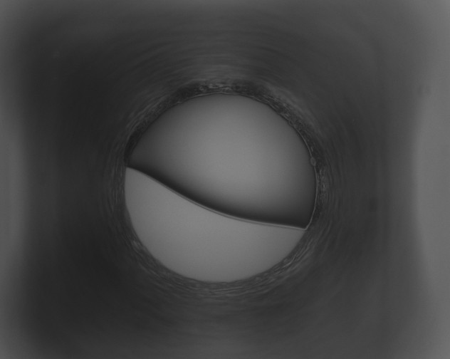 X0000100891060200806241004