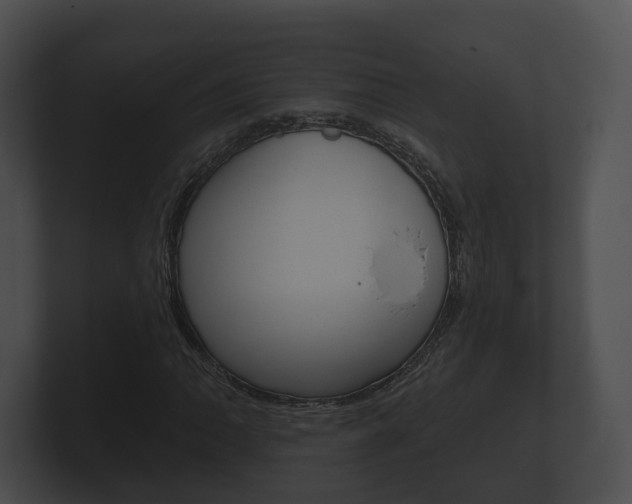 X0000100891062200806241004