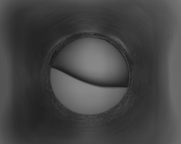 X0000100891064200806241004