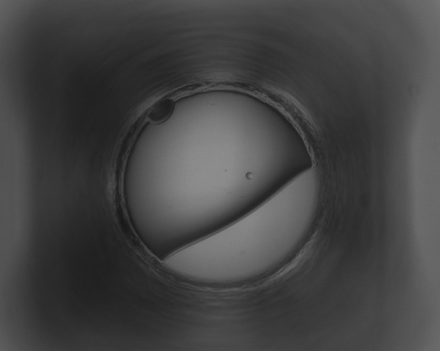 X0000100891065200806241004