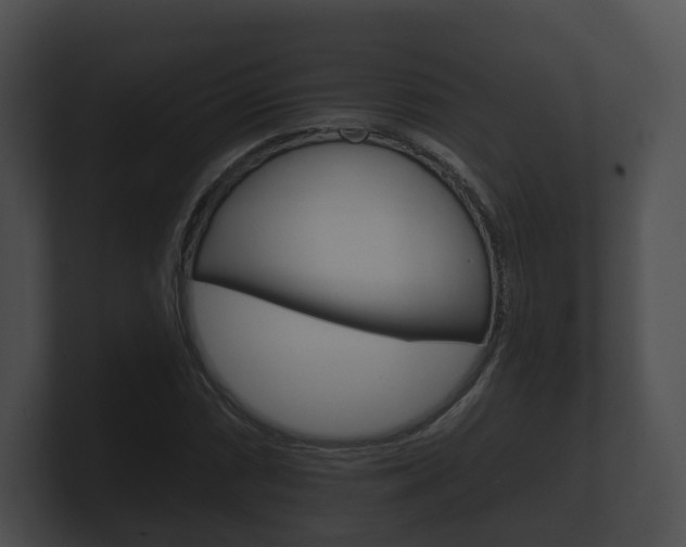 X0000100891066200806241004
