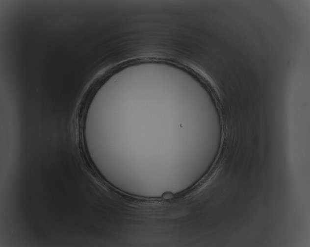 X0000100891067200806241004