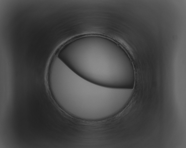 X0000100891072200806241004