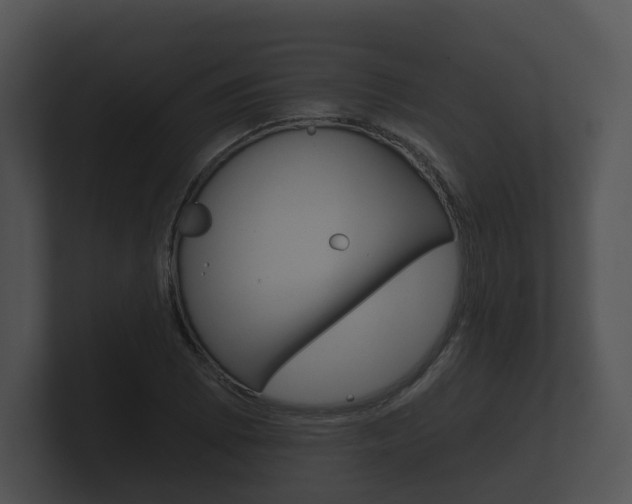 X0000100891073200806241004