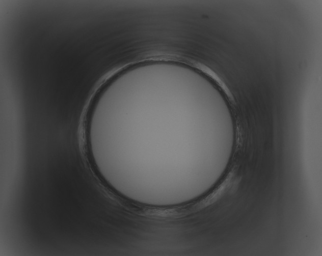 X0000100891074200806241004