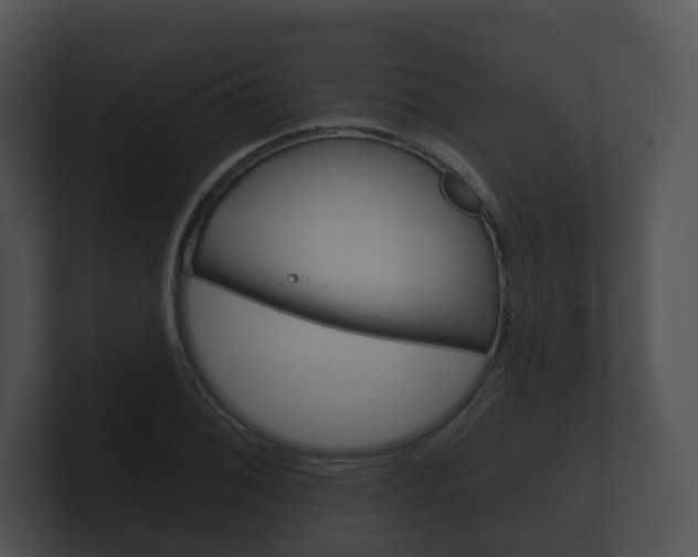 X0000100891076200806241004