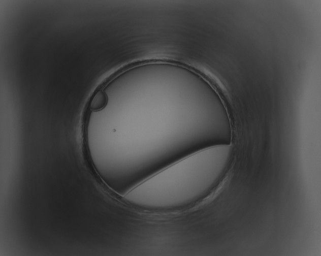 X0000100891077200806241004