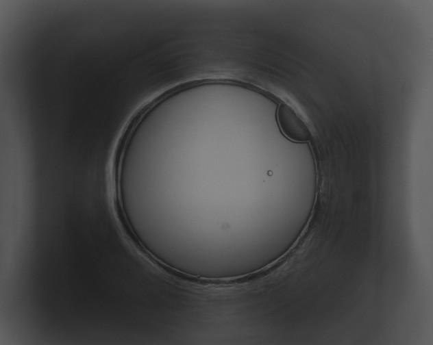 X0000100891080200806241004