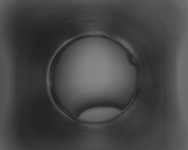 X0000100891084200806241004