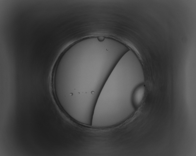 X0000100891087200806241004