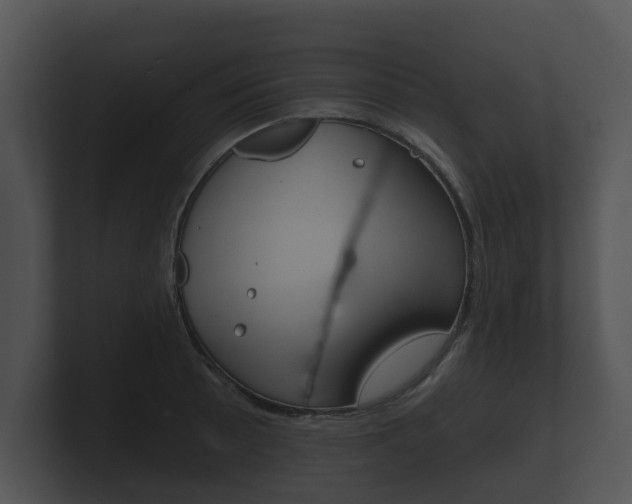 X0000100891089200806241004