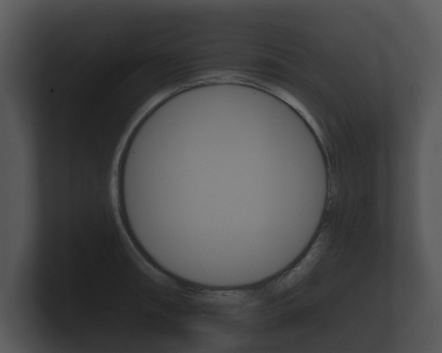 X0000100891090200806241004